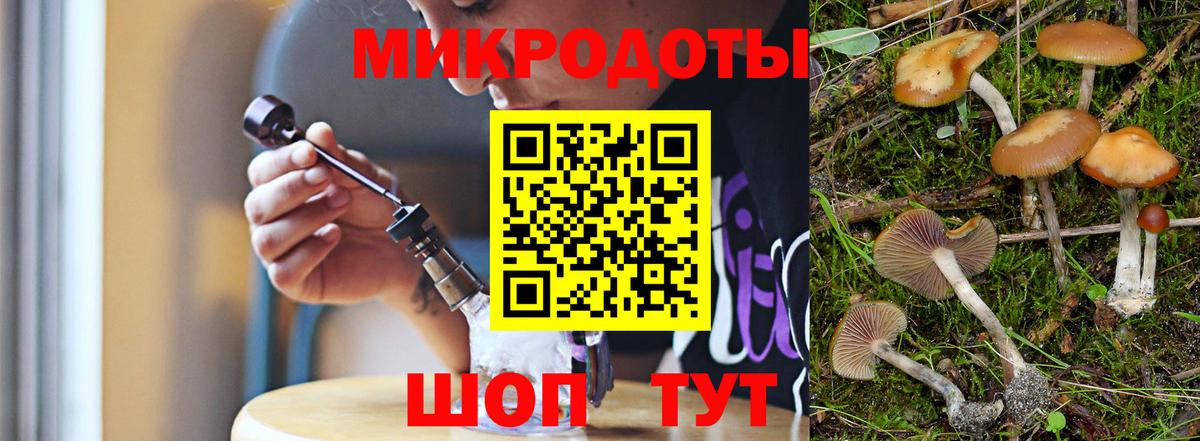 где продают   Галлюциногенные грибы ЛСД  Вход с VPN  Псилоцибиновые грибы мухоморы  Норильск 